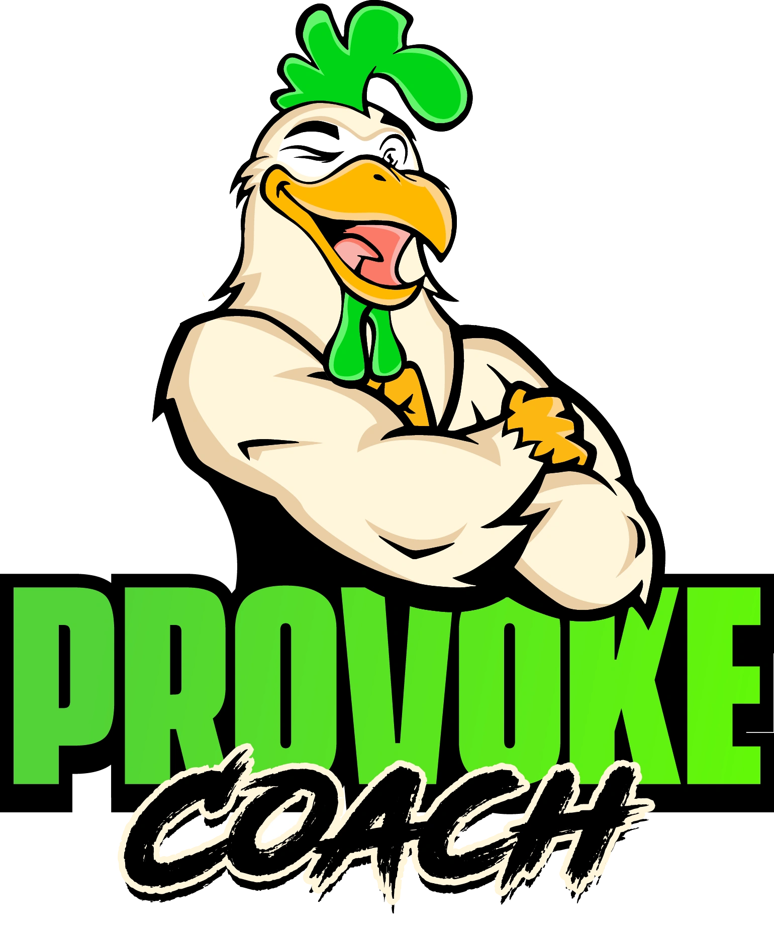 Provoke Coach Business Coach and Life Coach